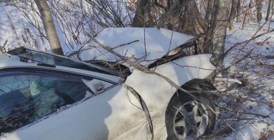 Пять человек погибли в дни новогодних праздников на дорогах Приморья