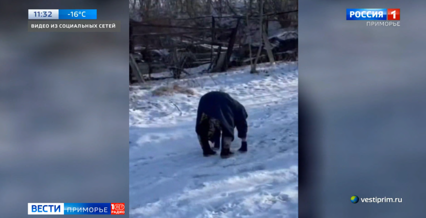 Из магазина домой на четвереньках: скандал разгорается в Находке