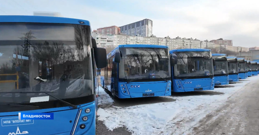 Партия новых автобусов из Беларуси выйдет на маршруты Владивостока