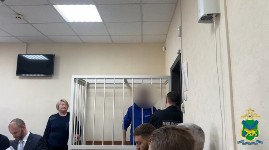 Суд отправил под домашний арест адвоката, применившего насилие к следователю в Приморье