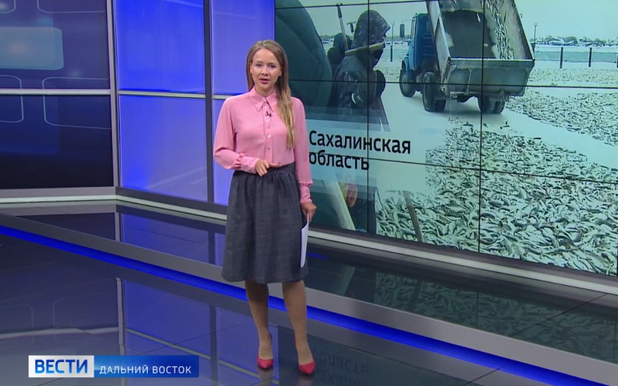 «Вести. Дальний Восток». Свежий улов. Корабли в ледяном плену. Защита тигра