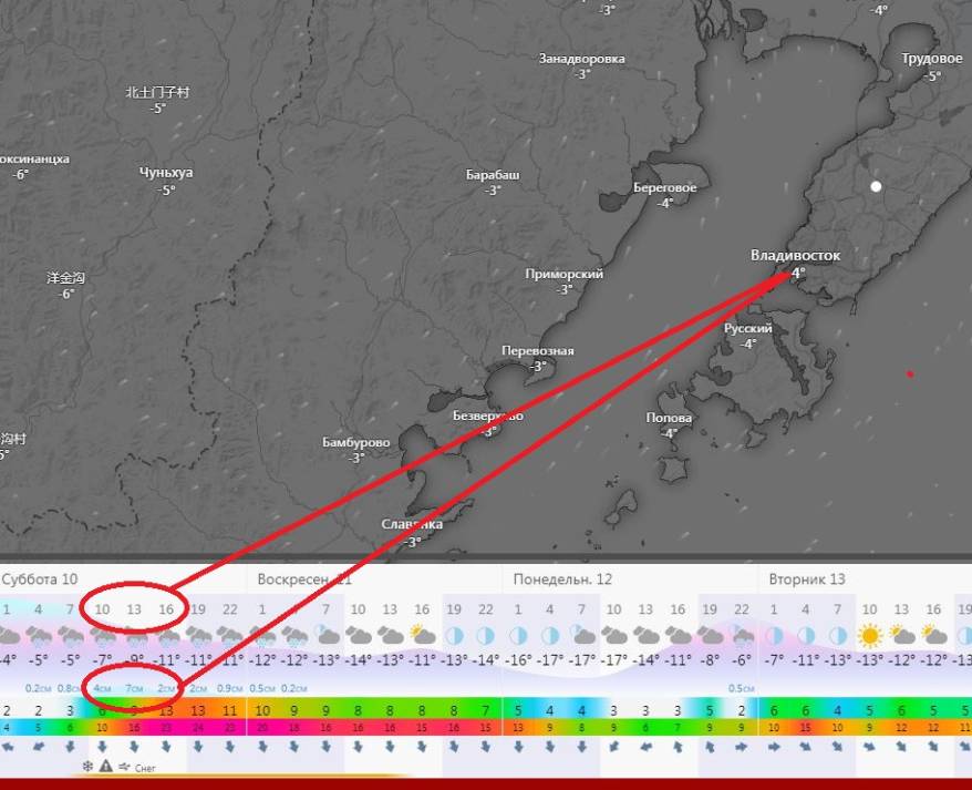 Синоптики уточнили время самого сильного снегопада во Владивостоке (карта погоды)