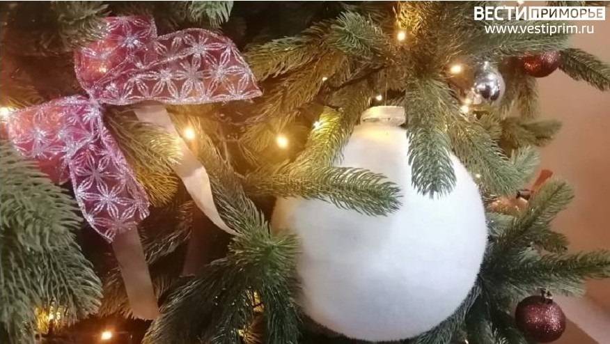«Безумцы» съели украшения с елки в Уссурийске