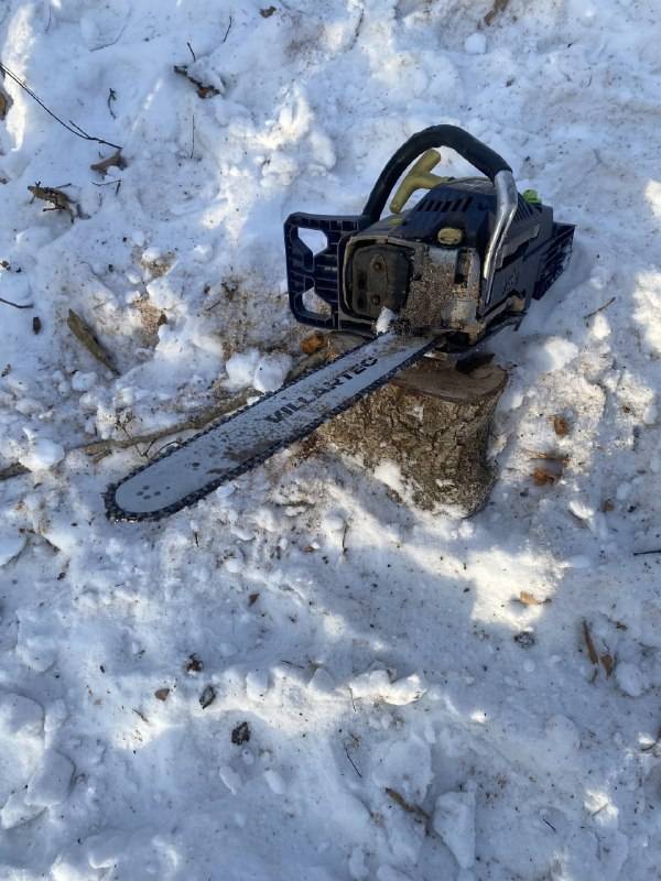 В Приморье полицейские задержали "черного лесоруба"