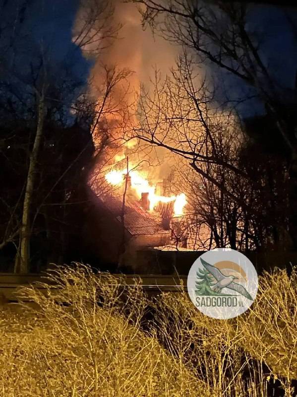 Во Владивостоке горит зоопарк — под угрозой вольеры с животными