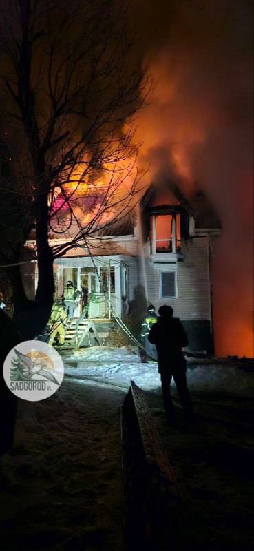 Прокуратура начала проверку по факту пожара в зоопарке во Владивостоке