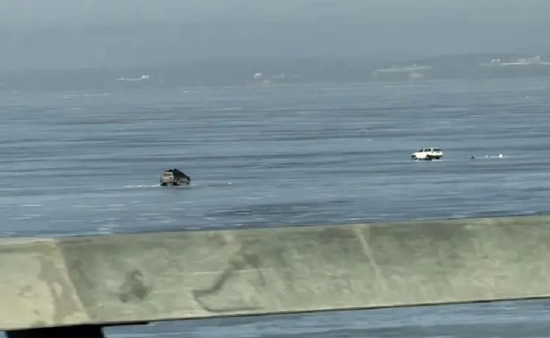 Лед отступает: «безумных» водителей не пугает вероятность стать кормом