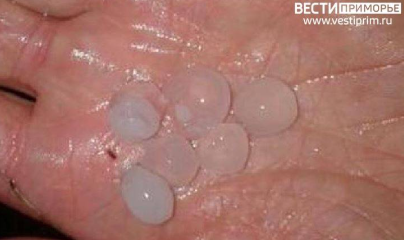 Ливни с градом и сильный снегопад: погода резко ухудшается в Приморье