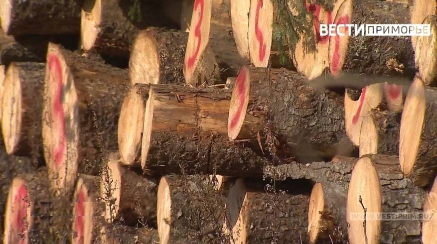 Лес вырубают недалеко от СНТ в Артеме, приморцы недоумевают