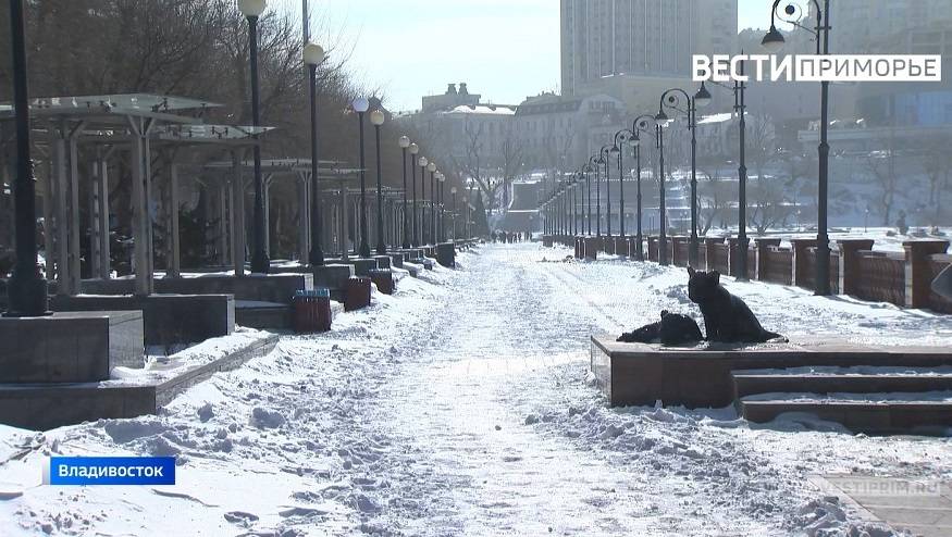 Приморье окажется в теплом секторе циклона