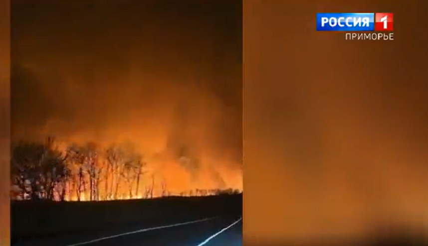 Пожароопасная обстановка осложнилась на юге Приморья