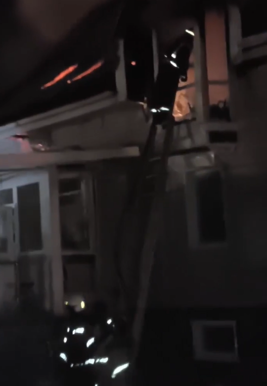 Хозяйка зоопарка на Садгороде опровергла слухи о гибели животных в пожаре