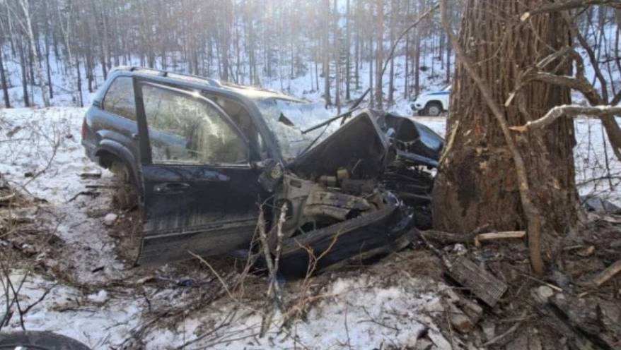 «Крузак» влетел в дерево: подробности жуткой аварии с пострадавшими в Приморье
