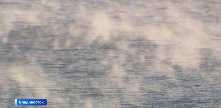 "Кипит, как в кастрюле на кухне": море во Владивостоке удивило горожан