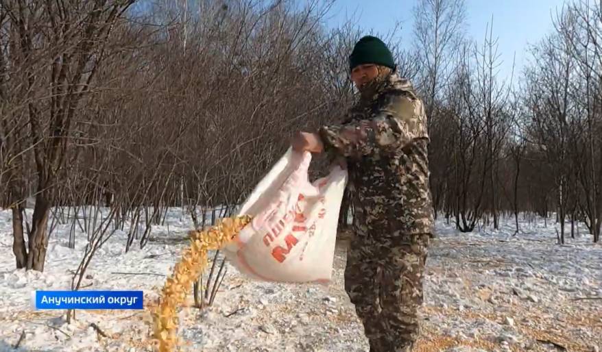 В лесной столовой Приморья - щедрые дары