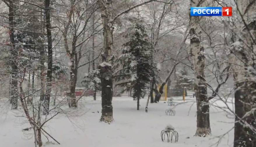 Дождь, снег, гололед: китайский циклон принесет массу неприяных сюрпризов в Приморье