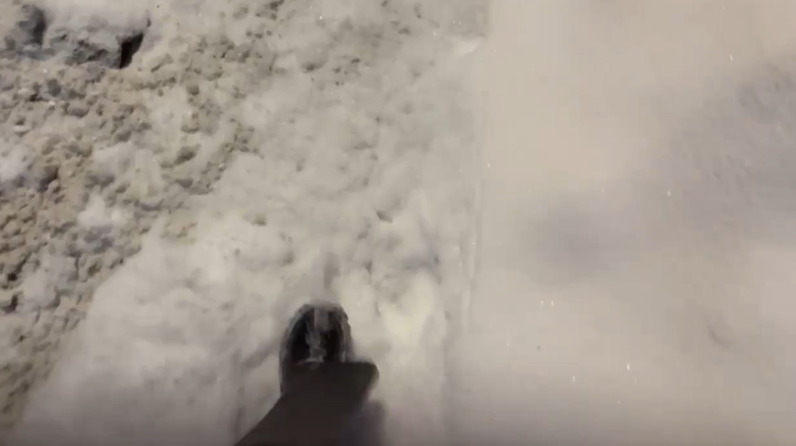 "Сердце разрывается": шокирующую находку обнаружила жительница Приморья по дороге домой