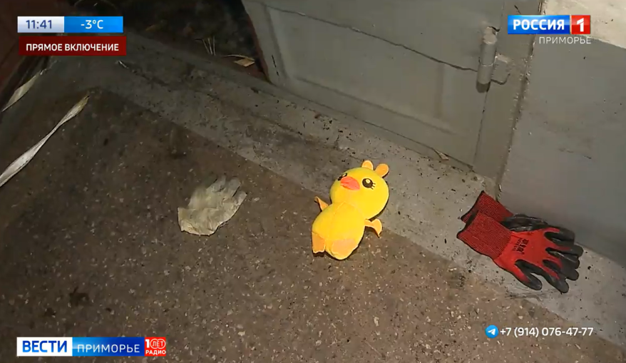 Стала известна причина трагического пожара с тремя погибшими детьми во Владивостоке