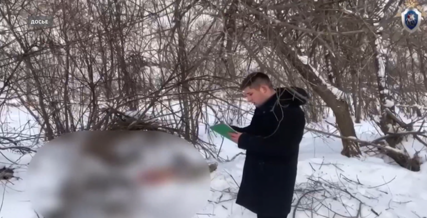 В Приморье ведутся поиски тигра, напавшего на человека