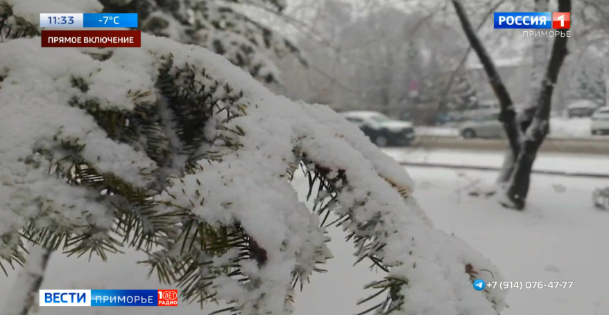 Зима попрощается с Приморьем мощным снегопадом