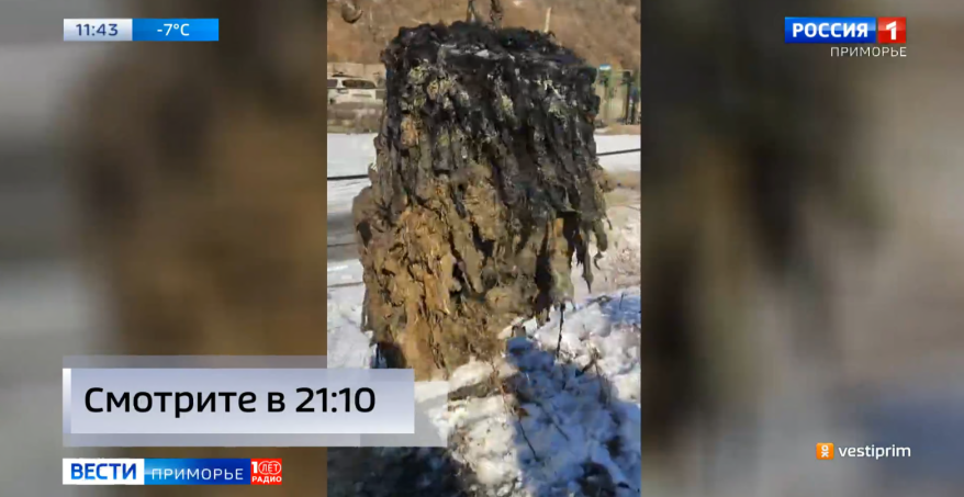 Проблема с душком: средства гигиены выводят из строя систему канализации во Владивостоке