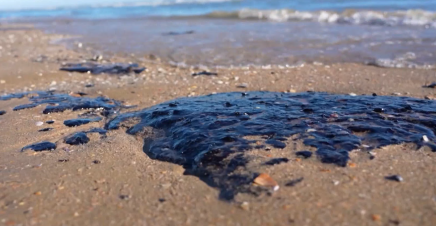 Разработка приморских ученых вошла в ТОП лучших практик при ликвидации ЧС на Черном море