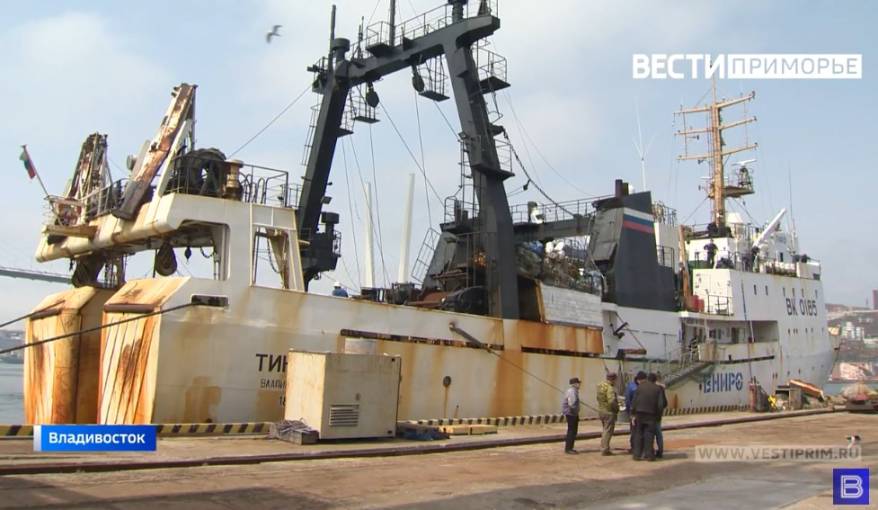 Хребет морской науки – 70 лет научный рыбацкий флот ищет рыбные запасы на Дальнем Востоке