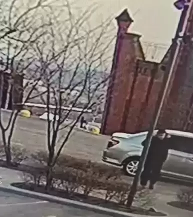 "Криминальная" история в Нагорном парке Владивостока приняла неожиданный оборот