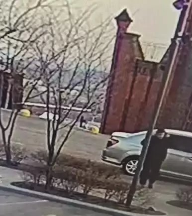 Инцидентом в Нагорном парке Владивостока заинтересовалась полиция