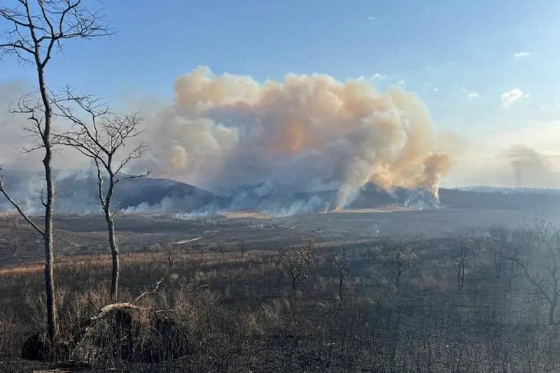 Два мощных пожара создали угрозу лесному фонду в Приморье