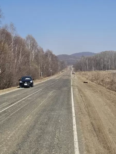 Водитель Suzuki Escudo потерял колесо на ходу и спровоцировал серьезное ДТП в Приморье