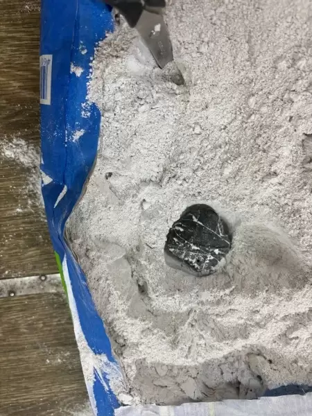 Полиция пресекла попытку передачи крупной партии наркотиков осужденным в Приморье