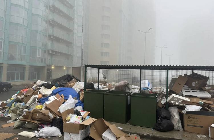 До 250 тысяч рублей: брошенный мусор во дворах может обернуться крупным штрафом