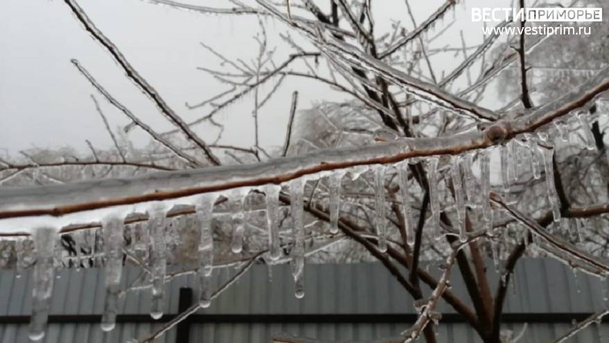 «Готовьтесь, мало не покажется»: снег с дождем накроют Владивосток