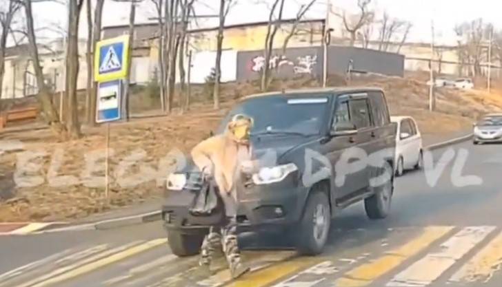 «Водитель без тормозов»: UAZ Patriot едва не переехал женщину на «зебре» во Владивостоке