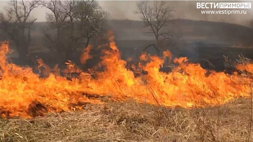 В Приморском крае нарастает пожароопасная обстановка