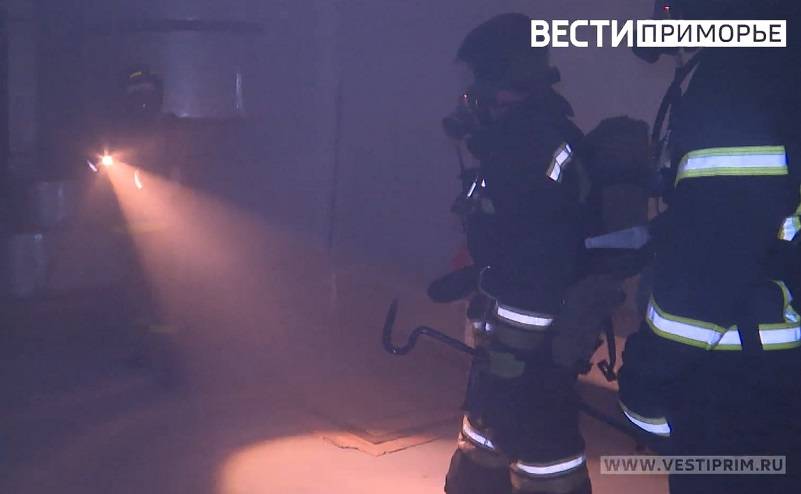 Дом, гараж и авто оказались в пламени пожара в Артеме