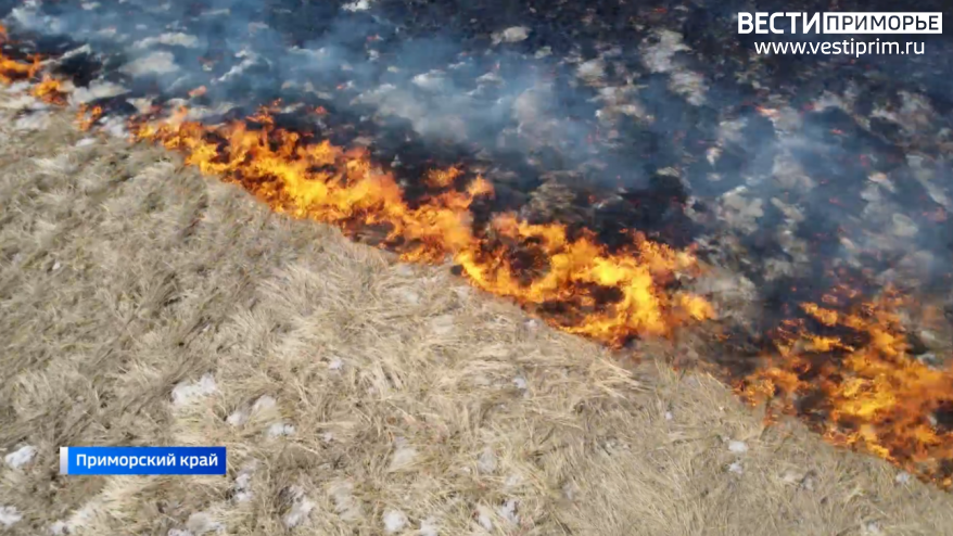 Мощный пожар полыхает возле федеральной трассы в Приморье
