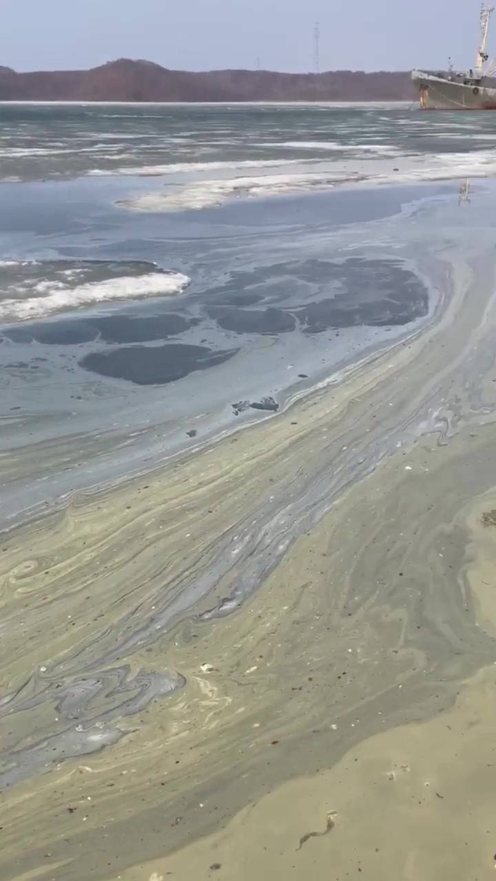 Пляж Русского острова покрыт мазутом