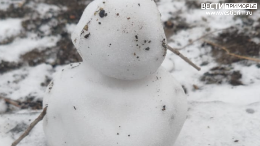 Синоптики прогнозируют снег в праздничные выходные дни в Приморье