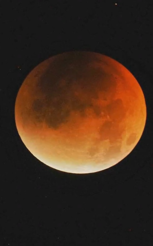 Кровавую Луну можно будет наблюдать в небе над Приморьем