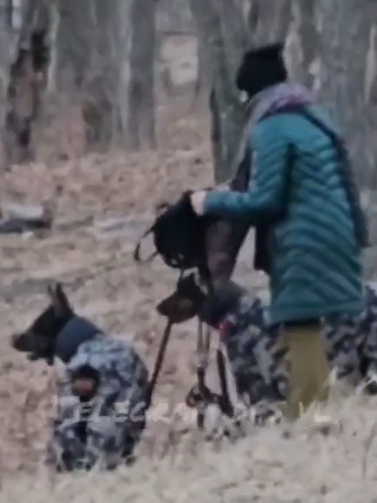 Новая жертва: во Владивостоке неадекватная женщина держит в страхе местных жителей