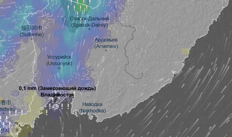 Ледяной дождь обрушится на Владивосток: дата