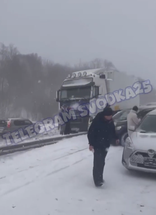 ️Массовое ДТП под Уссурийском - движение полностью перекрыто