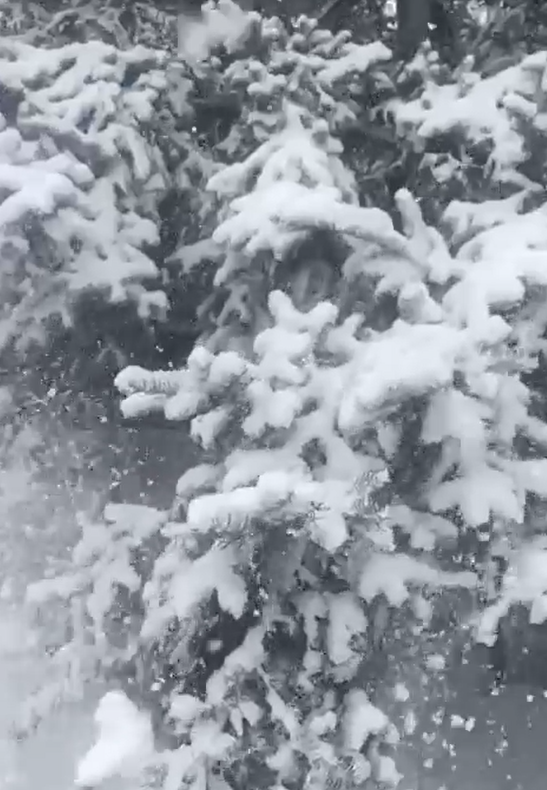 Основной удар снежного циклона в Приморье пришелся на село Каменушка