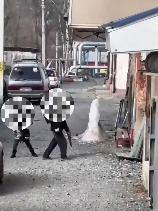 Решительный бросок и побег: вопиющий инцидент во Владивостоке попал на видео