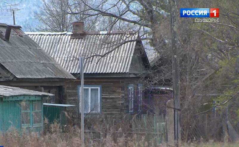 Леопард забрался на чердак жилого дома в Приморье