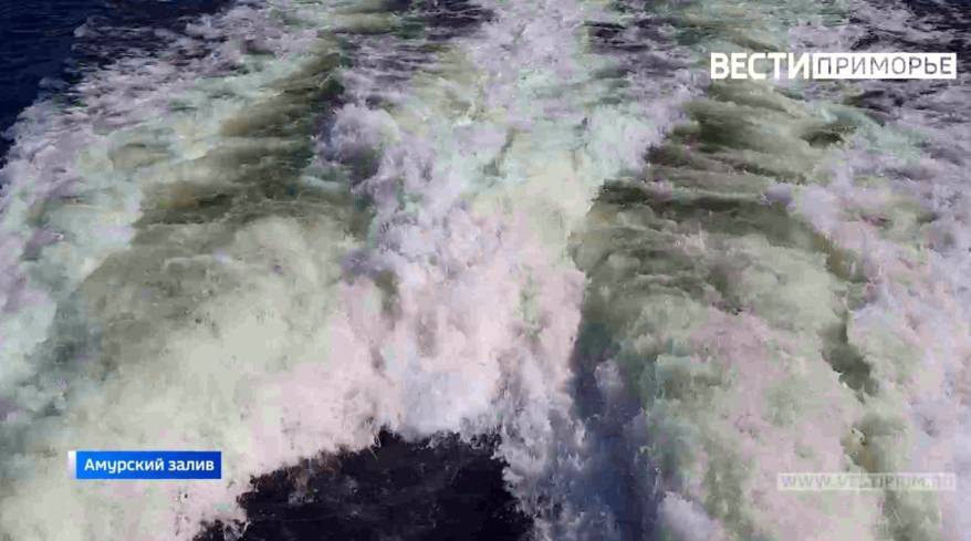 Аэролодка "Север" прекратила рейсы на островные территории Владивостока