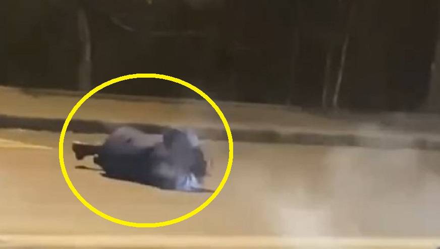 «Лежит, умоляет»: жуткий способ остановить авто выбрала жительница Владивостока