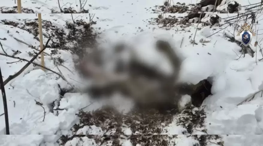 Дело об исчезновении женщины в Приморье передано в суд